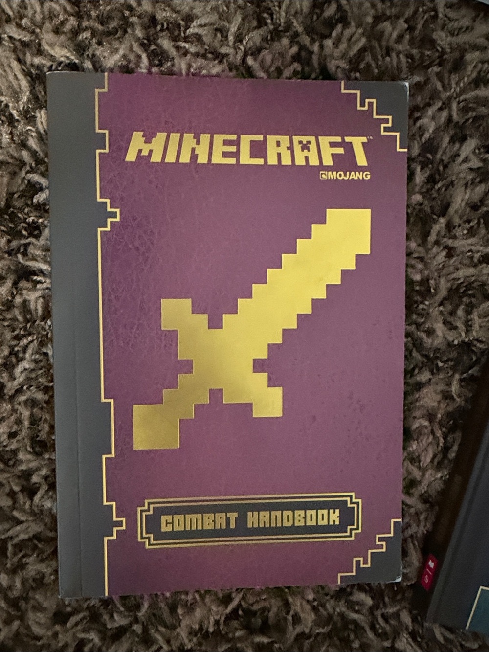 Minecraft Kids Book Set – Assorted Color Covers - Picture 3 of 8